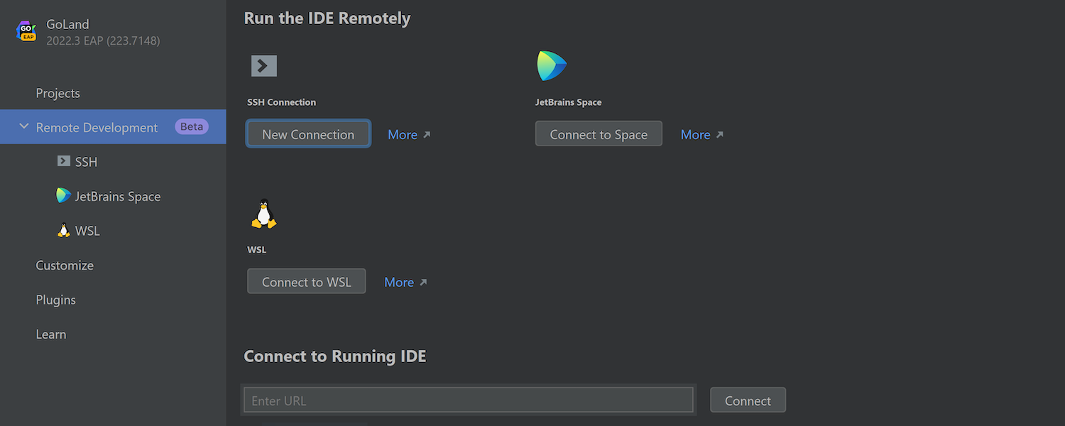 https://www.jetbrains.com/go/whatsnew/img/2022.3/remote-dev-wsl.png